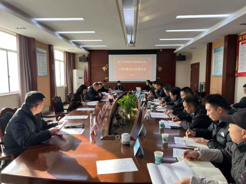 2025年1月份重點(diǎn)工作完成暨2月份重點(diǎn)工作督辦會(huì )簡(jiǎn)報197.png